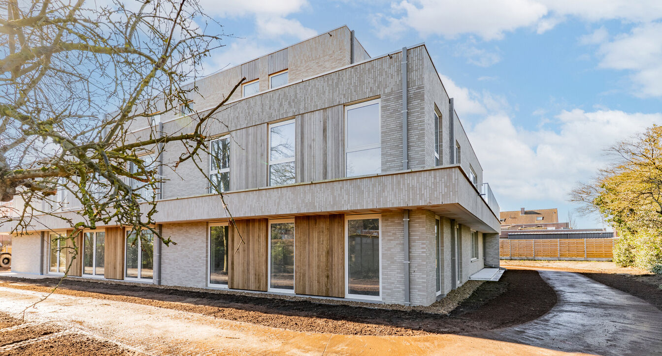 De Patrijs te Rijkevorsel in Rijkevorsel