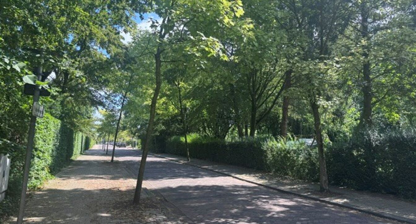Eengezinswoning te koop in Olen