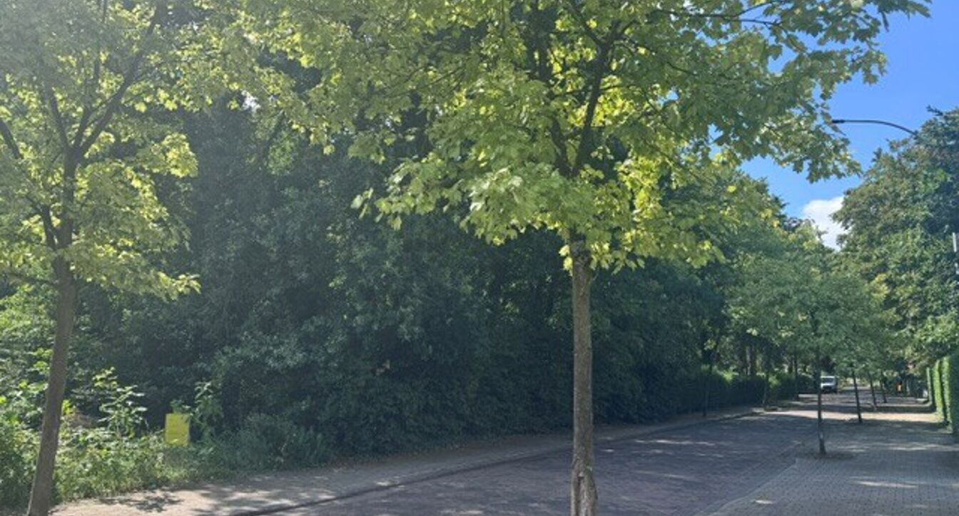 Eengezinswoning te koop in Olen